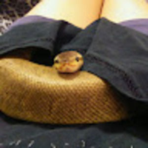 Meet your Posher, Banu